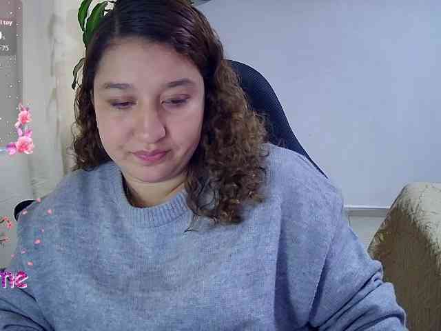 Silverlbeekerry webcam