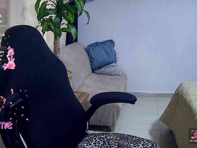 Silverlbeekerry webcam