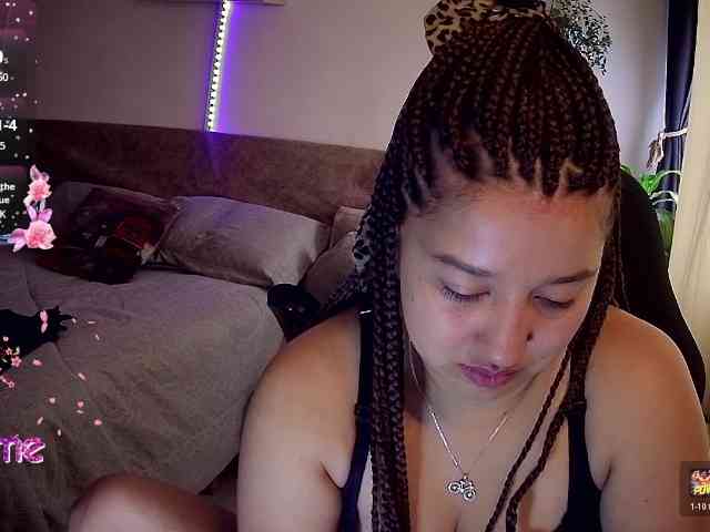 Silverlbeekerry webcam