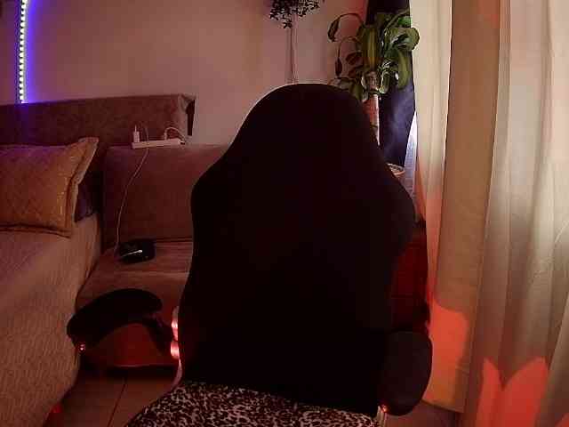 Silverlbeekerry webcam