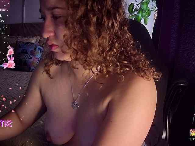 Silverlbeekerry webcam