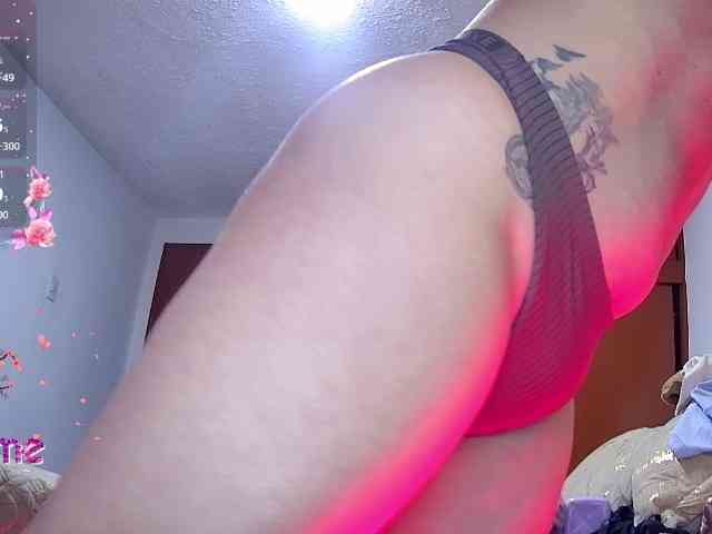 Silverlbeekerry webcam