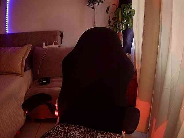 Silverlbeekerry webcam