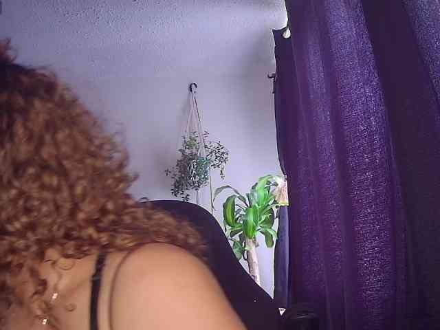 Silverlbeekerry webcam