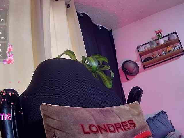 Silverlbeekerry webcam