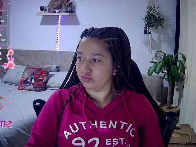 Silverlbeekerry webcam