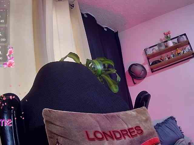 Silverlbeekerry webcam