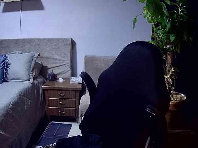 Silverlbeekerry webcam