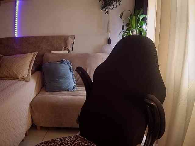 Silverlbeekerry webcam