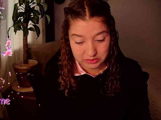 Silverlbeekerry webcam