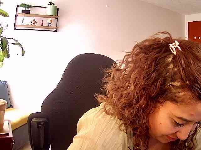 Silverlbeekerry webcam