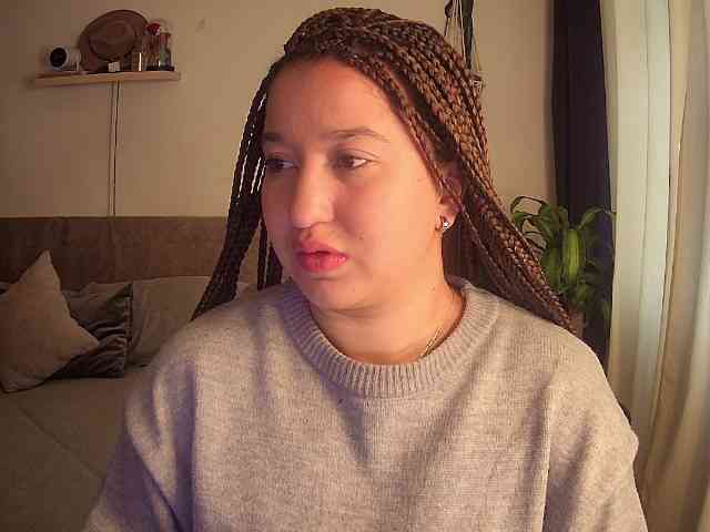 Silverlbeekerry webcam