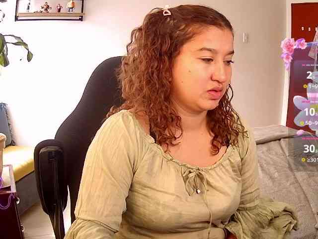 Silverlbeekerry webcam