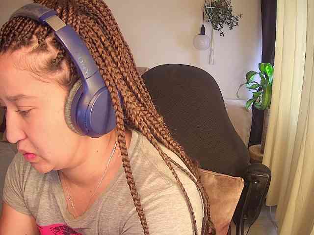 Silverlbeekerry webcam