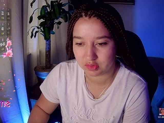 Silverlbeekerry webcam