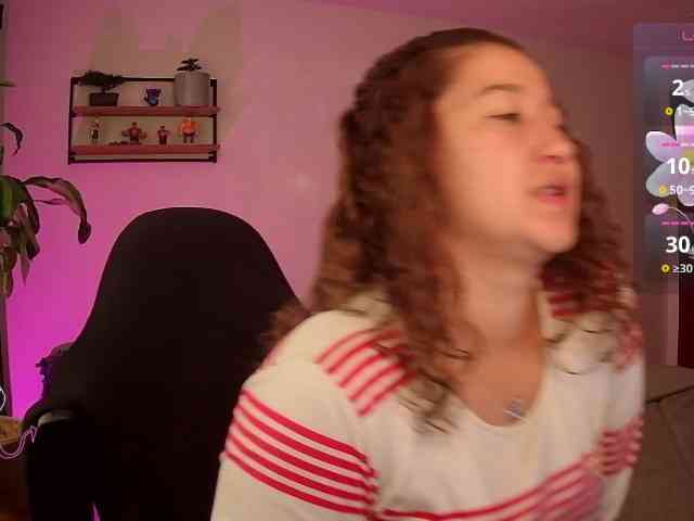 Silverlbeekerry webcam