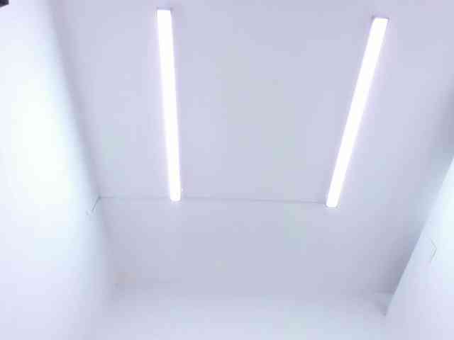 ada-brooke ada-brooke