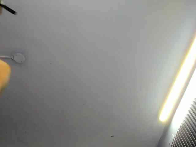 ada-brooke ada-brooke