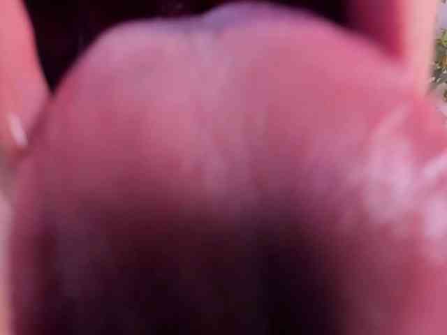 Stefany-gonzales Live Webcam on BongaCams