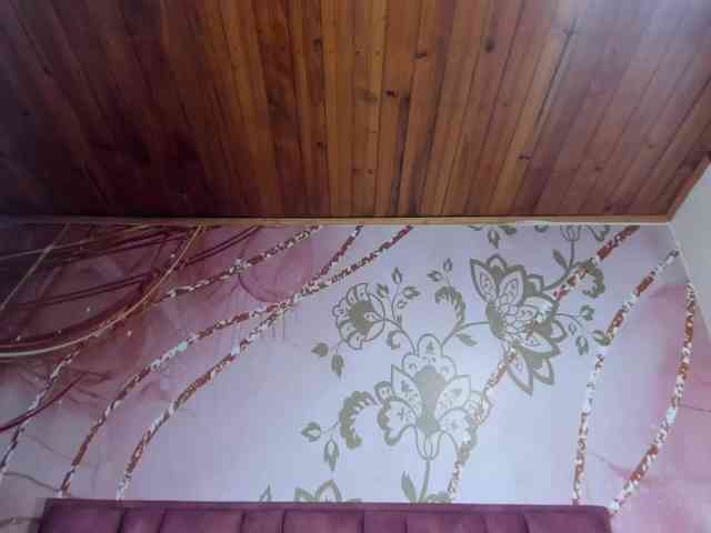 luna-maisonn luna-maisonn