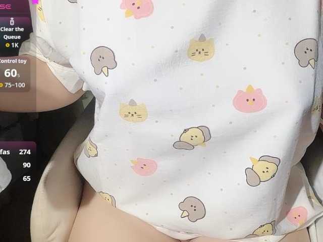 Sralet20 webcam