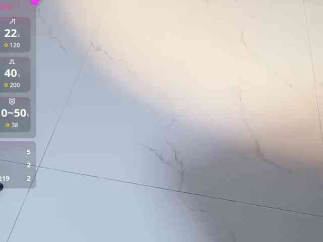 Sralet20 webcam