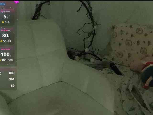 Sralet20 webcam