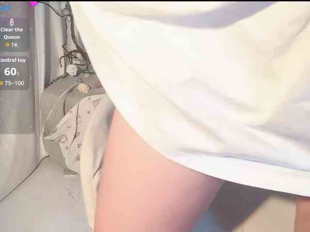 Sralet20 webcam