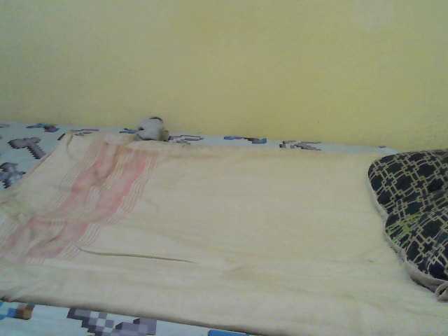 cute-nina's BongaCams show and profile