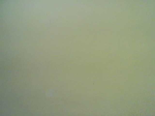 cute-nina's BongaCams show and profile