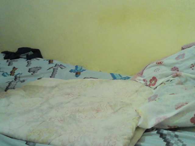 cute-nina's BongaCams show and profile