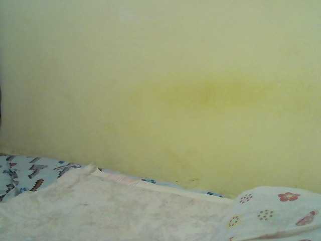 cute-nina's BongaCams show and profile