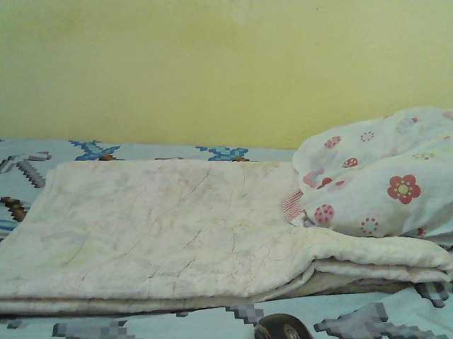 cute-nina's BongaCams show and profile