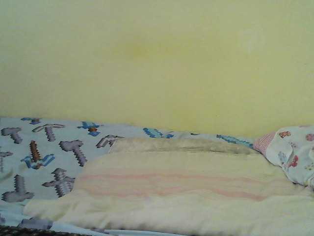 cute-nina's BongaCams show and profile