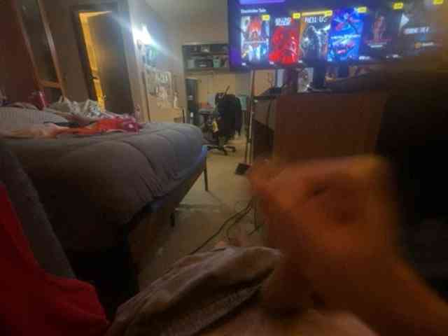 LittlemamaNthelongD webcam