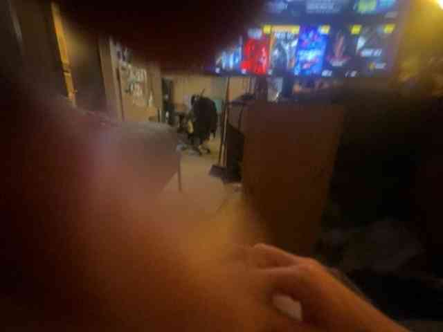 LittlemamaNthelongD webcam