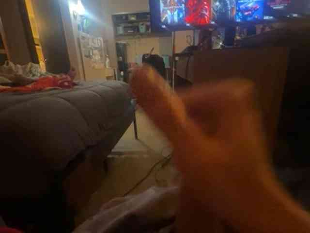 LittlemamaNthelongD webcam
