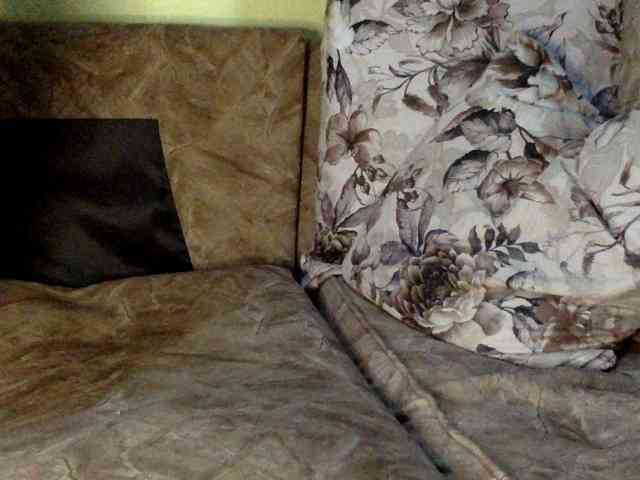 trizer41 webcam