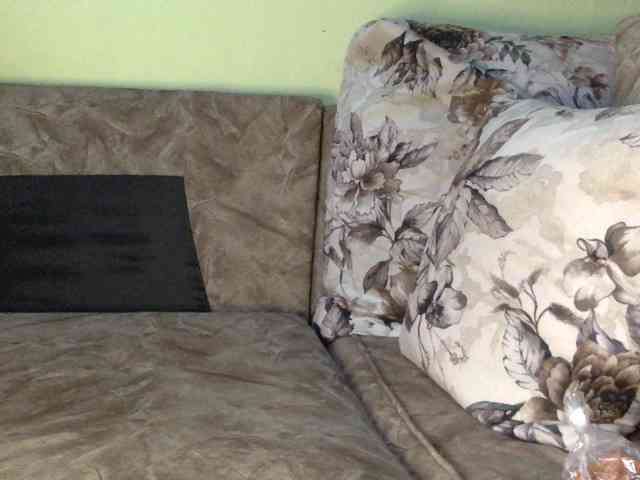 trizer41 webcam