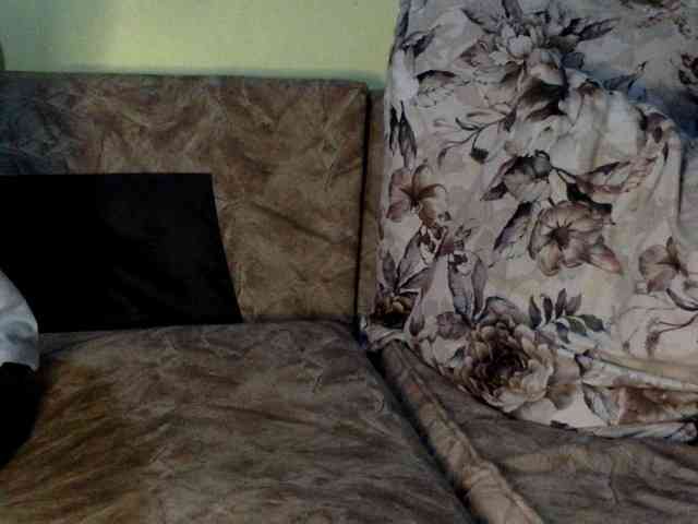 trizer41 webcam