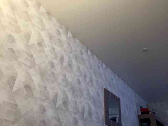 AshleaReuer AshleaReuer