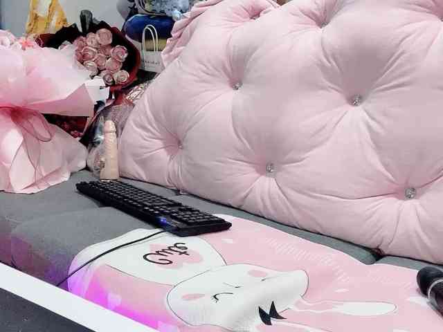 Stella-869 webcam