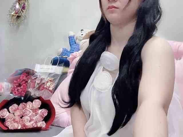 Stella-869 webcam