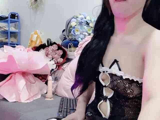 Stella-869 webcam