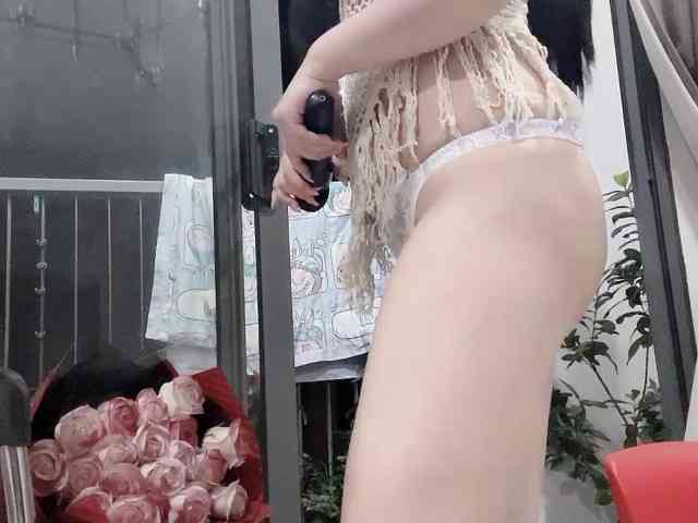 Stella-869 webcam