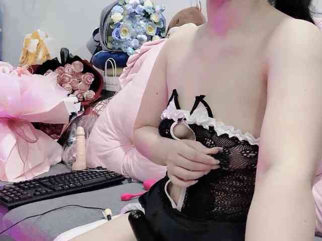 Stella-869 webcam