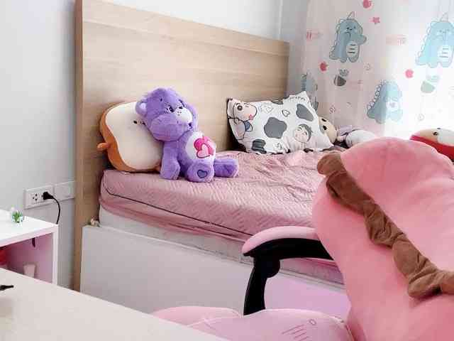 Stella-869 Stella-869