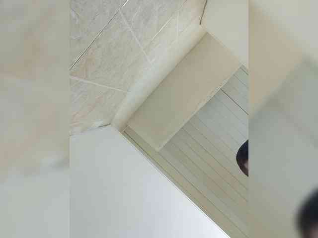 Maxi228a