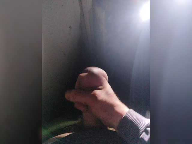 Shpalerr1