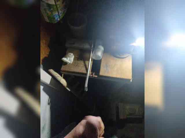 Shpalerr1